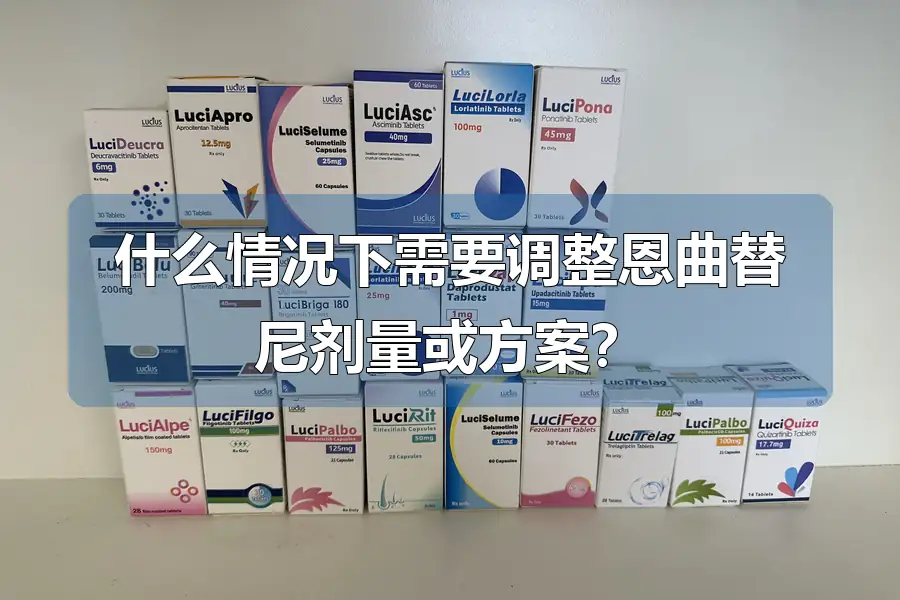 什么情况下需要调整恩曲替尼剂量或方案？
